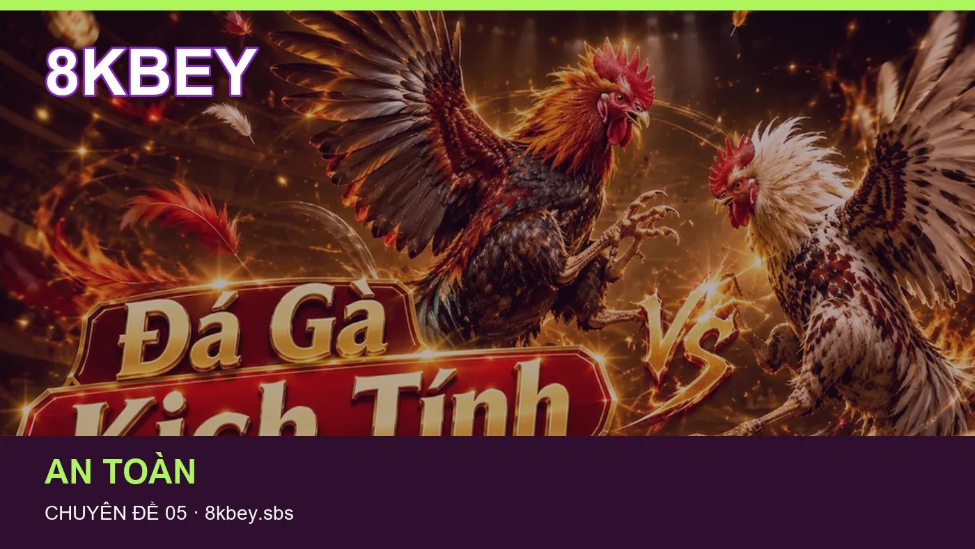 Hình minh họa bài viết 8KBEY